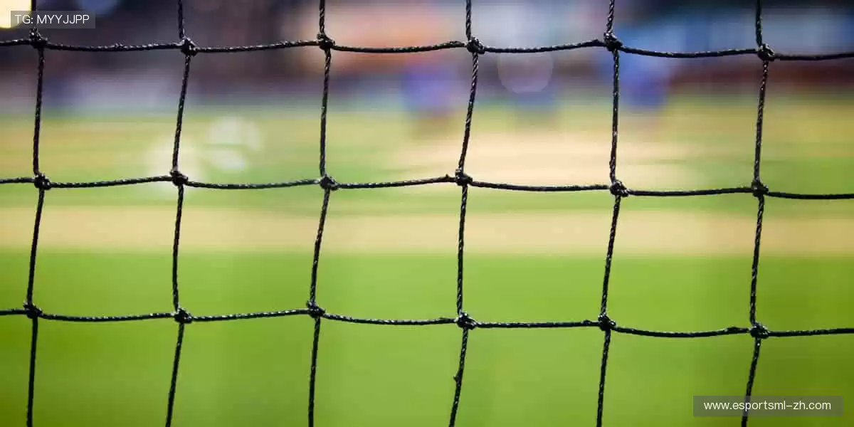 热血赛事，激情碰撞！⚽🏀